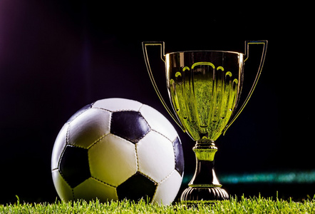 实力的有效 实力的有效